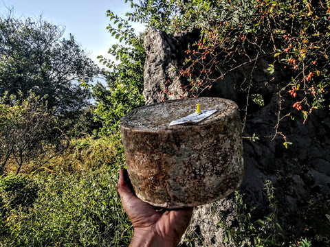 Butični sir Vipava Valley – Golden Ring Cheese