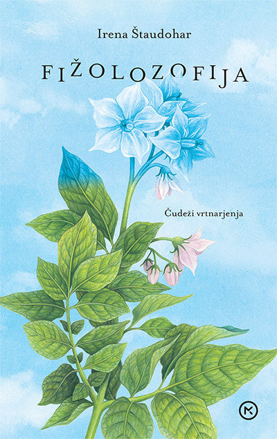 Philosophy of Beans: The Wonders of Gardening