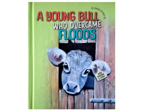 A young bull who overcame floods - Nuša Jezeršek (v angleščini)