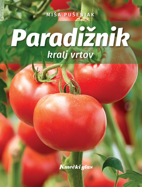 Paradižnik kralj vrtov - Miša Pušenjak