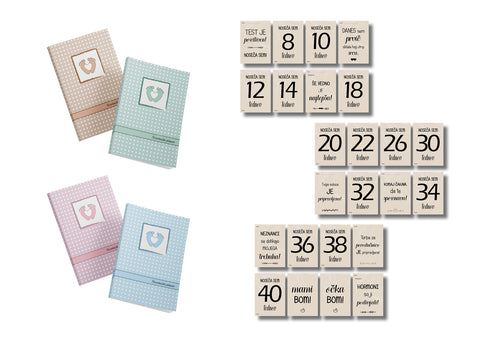 COMPLETE Pregnancy Planner and milestone cards for pregnant women