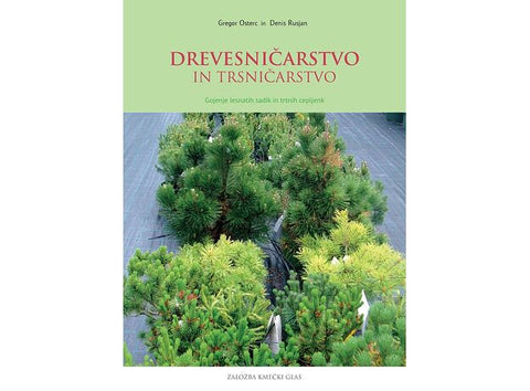 Tree nursery and vine nursery, cultivation of woody seedlings and vine grafts