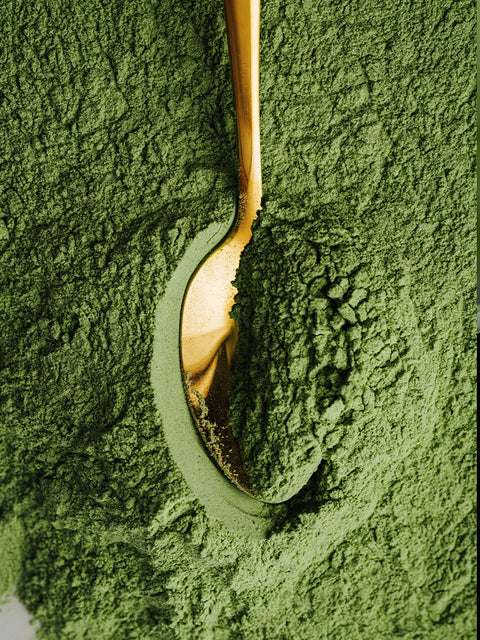 Classic Matchaccino